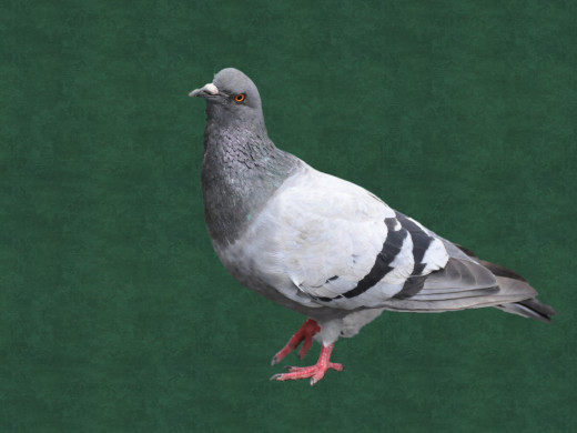 357973 (a): :1600x1200